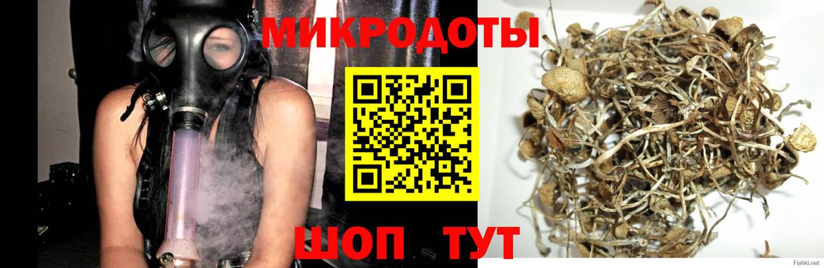 Великий Устюг  купить  сайты  Вход с VPN  Галлюциногенные грибы Cubensis  Галлюциногенные грибы Cubensis 