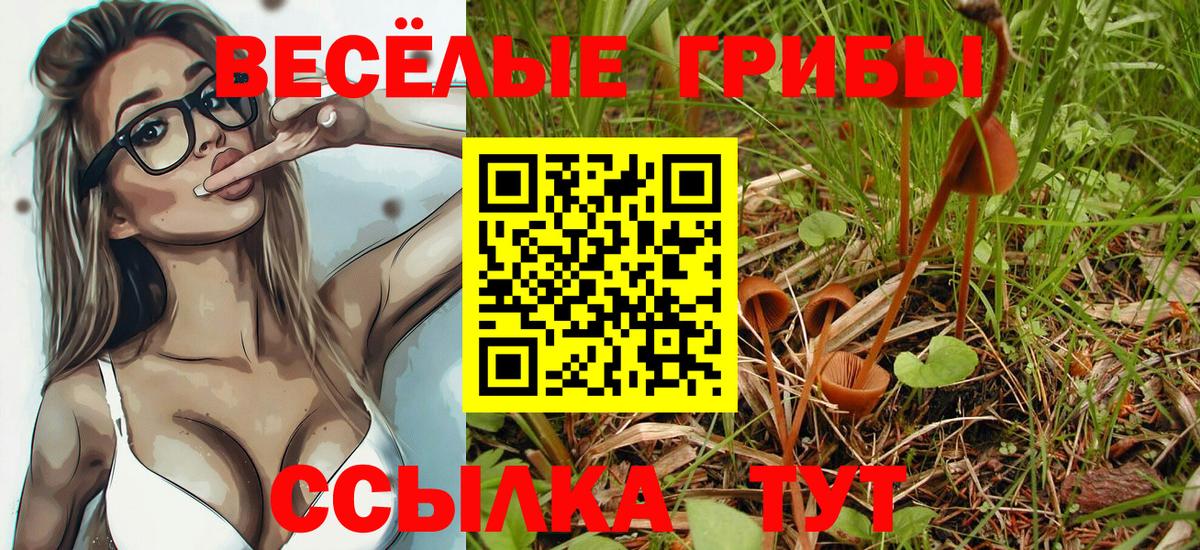 Псилоцибиновые грибы MAGIC MUSHROOMS Великий Устюг