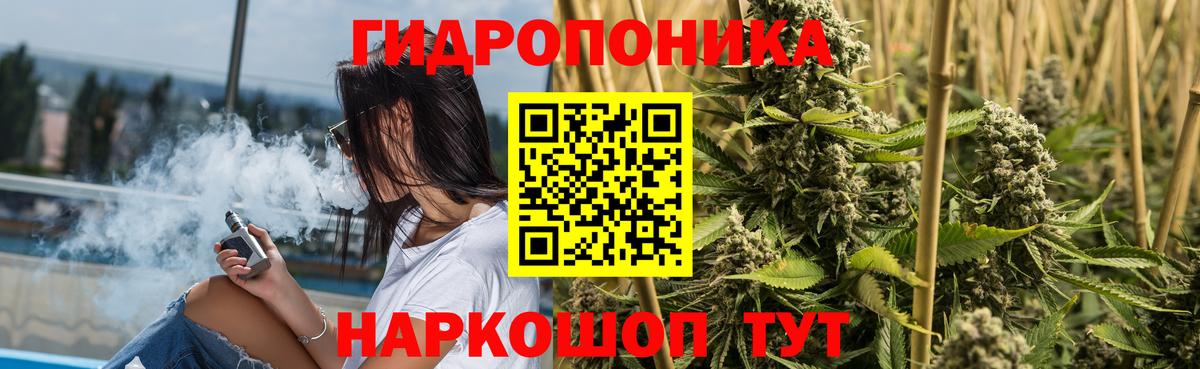 Каннабис семена Великий Устюг